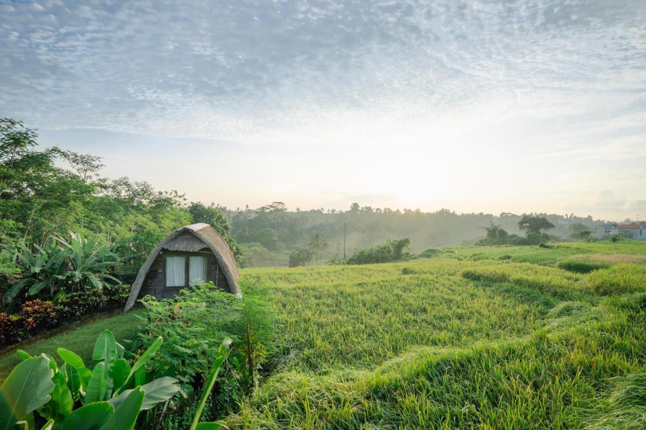 The Tetamian Bali Villa Sukawati  Bagian luar foto